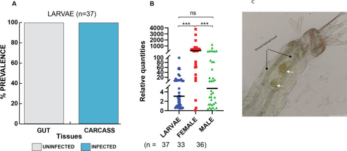 FIG 3