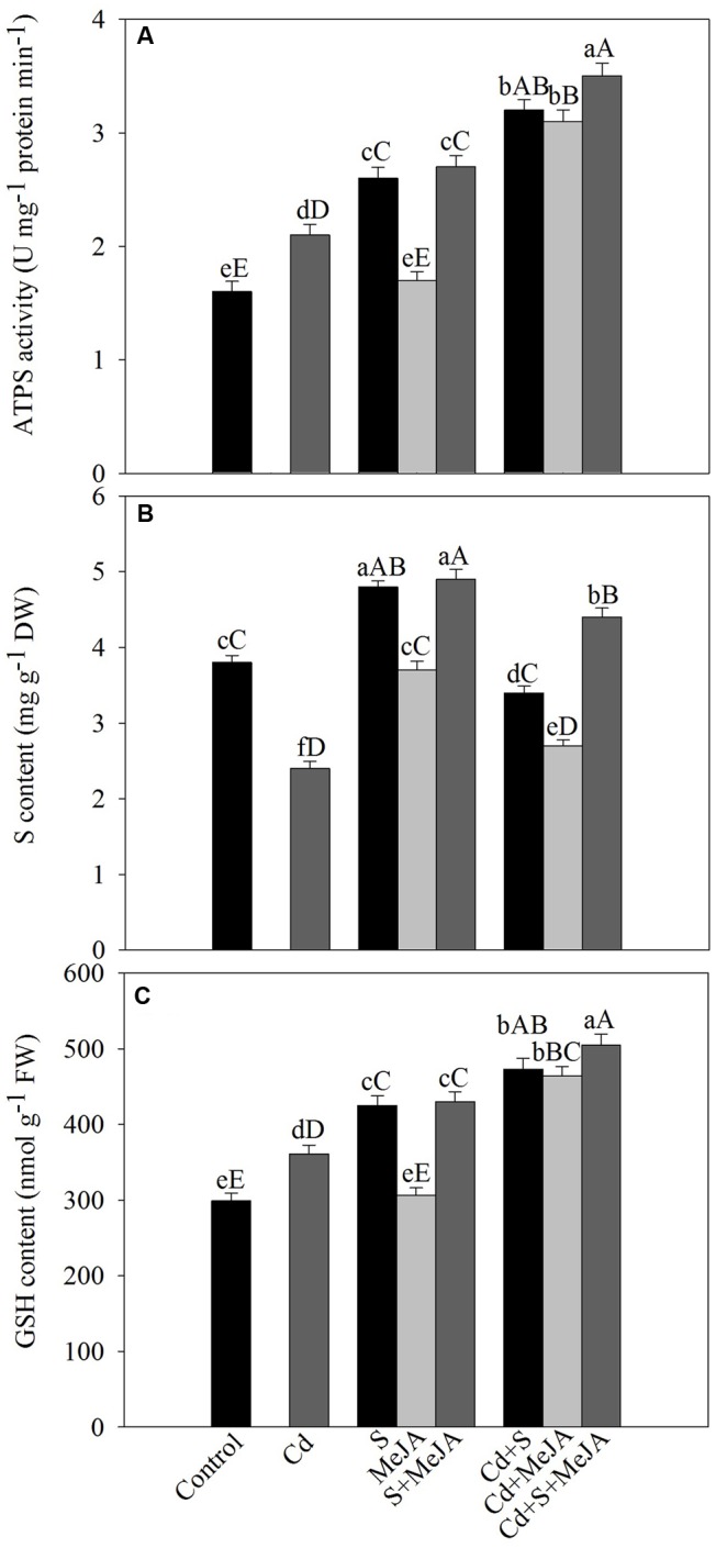 FIGURE 3