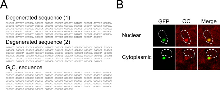 Figure 1—figure supplement 1.