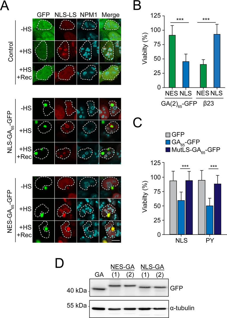 Figure 2—figure supplement 1.