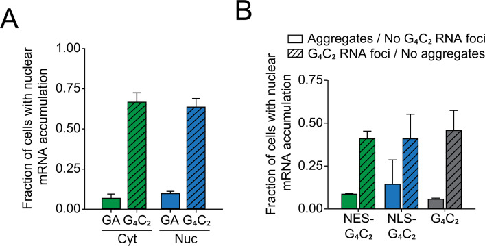 Figure 5—figure supplement 1.