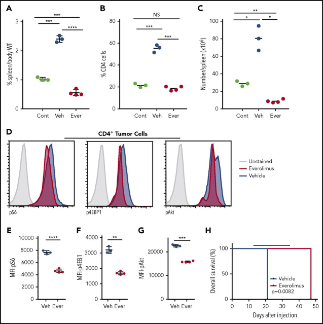 Figure 6. Everolimus suppresses mTOR signaling and improves survival in mice transplanted with tgRhoA; Tet2-deleted tumor cells. (A) Spleen weight as percentage body weight in Nod.SCID.IL2rɣ−/− mice. Control (Cont) mice were euthanized 14 days after injection with 500 000 cells from tumor 1. The remainder of the cohort was dosed with daily gavage of 10 mg/kg Everolimus (Ever) or vehicle (Veh) daily for 5 consecutive days until they were euthanized for analysis 2 hours after the final dose. Quantification of the percentage (B) or absolute number (C) of CD4+ cells present in the spleens of mice. (D) Intracellular flow cytometric analysis of pAkt and mTORc1 signaling components pS6 and p4EBP1 in splenic CD4+ cells from everolimus-treated (red) or vehicle-treated (blue) mice. Control peaks are from unstained vehicle CD4+ cells. All histograms display frequency of events as percentage of cells within the population indicated. (E-G) Mean fluorescence intensity from replicates of indicated phosphoproteins. All P values from t test with Welch's correction. (H) Overall survival of recipients of tgRhoA; Tet2fl/fl; Vav-Cre+; OT-II tumor cells treated with either daily oral gavage of 10 mg/kg everolimus or vehicle from days 14 to 34 (indicated by black bar) after transfer. Each group consisted of 4 mice. P value from Mantel-Cox test.