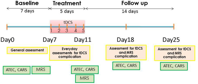 FIGURE 1