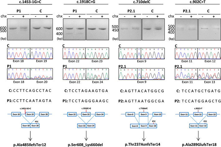 FIGURE 3