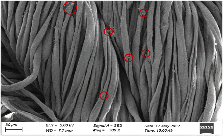 Fig. 13