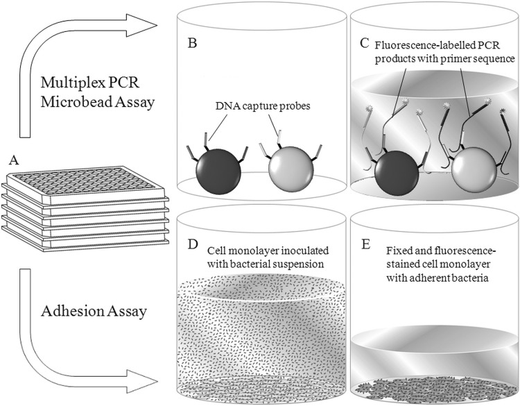 Fig 1