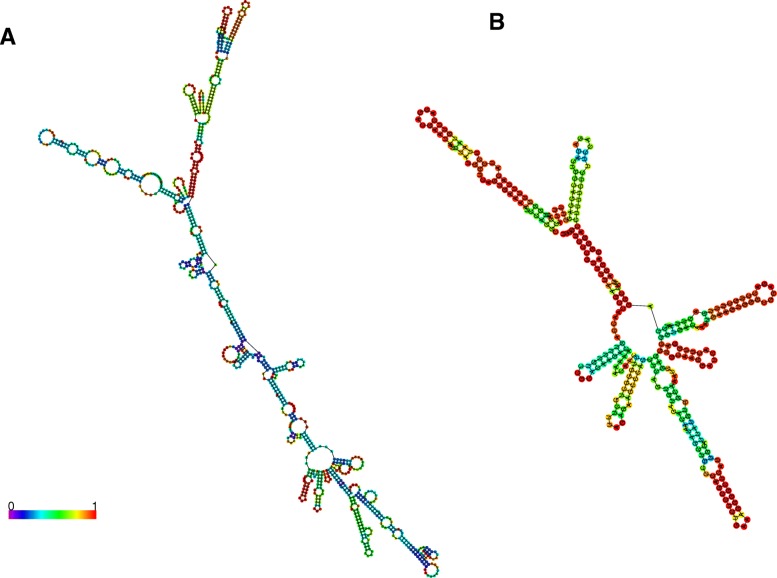 Fig. 7