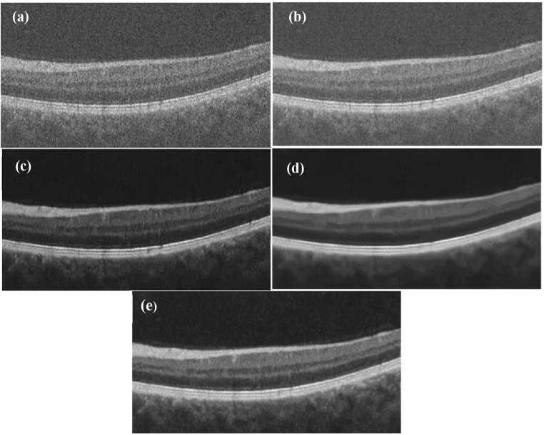 Fig. 5.