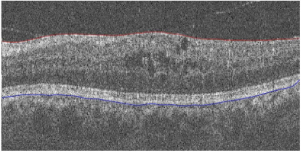 Fig. 6.