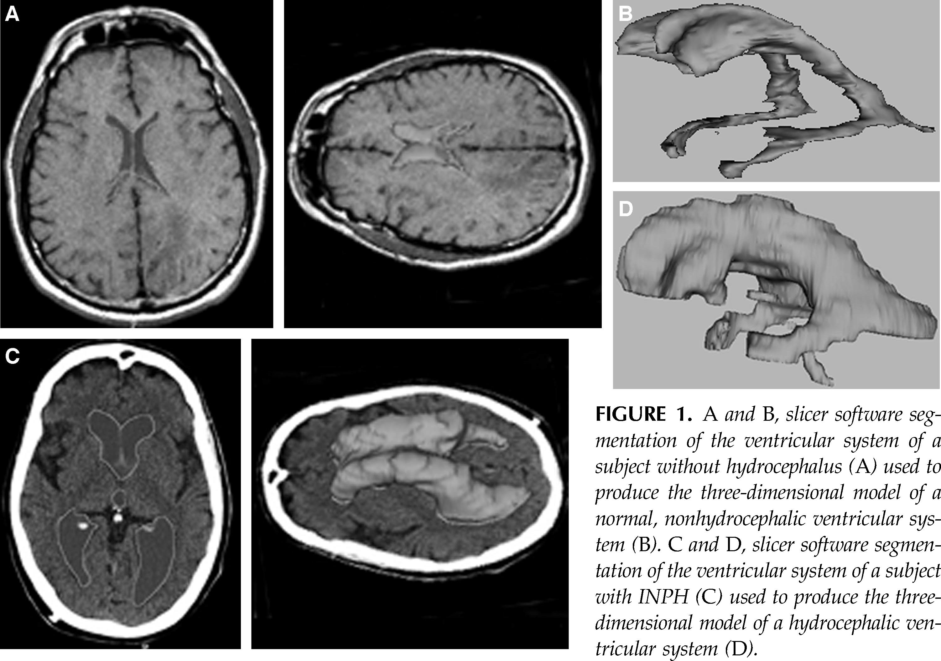 FIGURE 1.