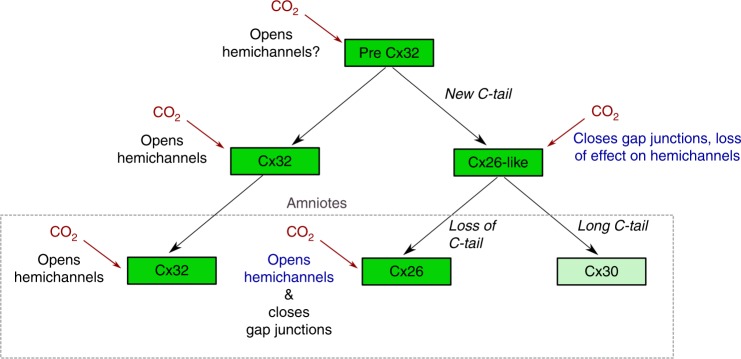 Fig. 10