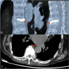 Fig. 7