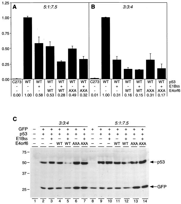 FIG. 3