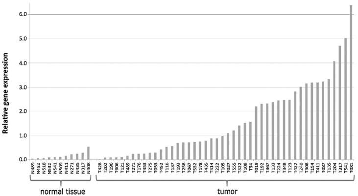 Figure 1.