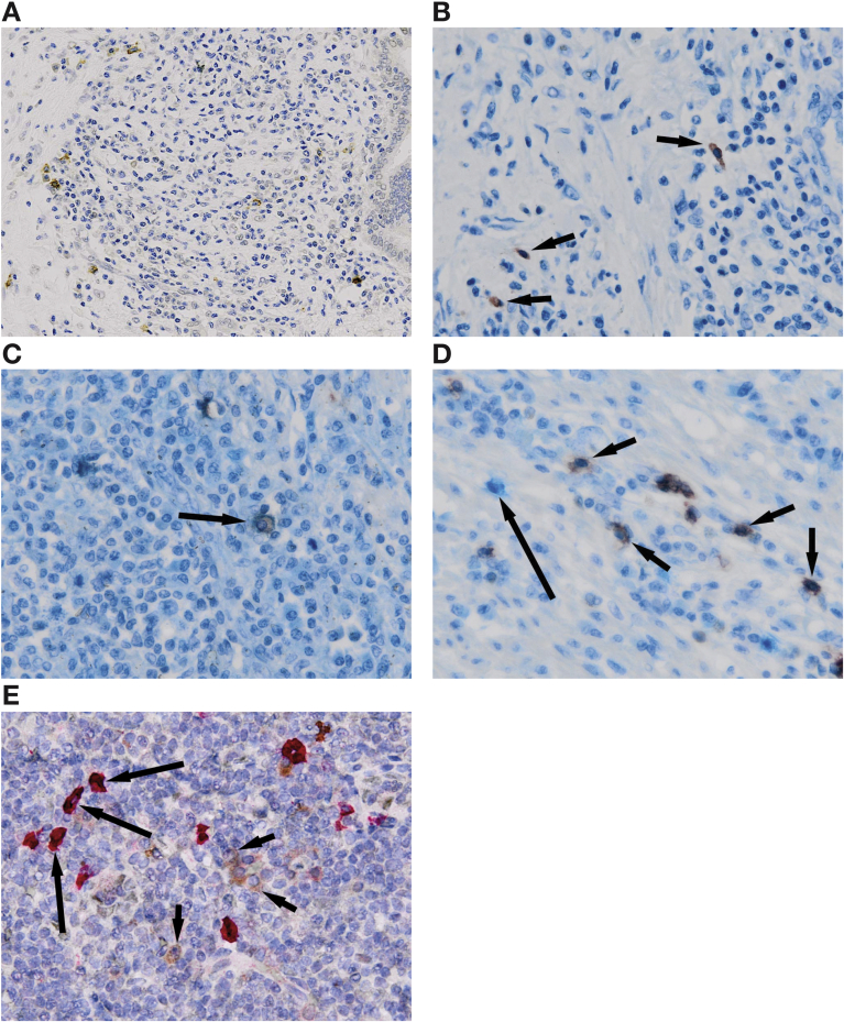 Figure 4