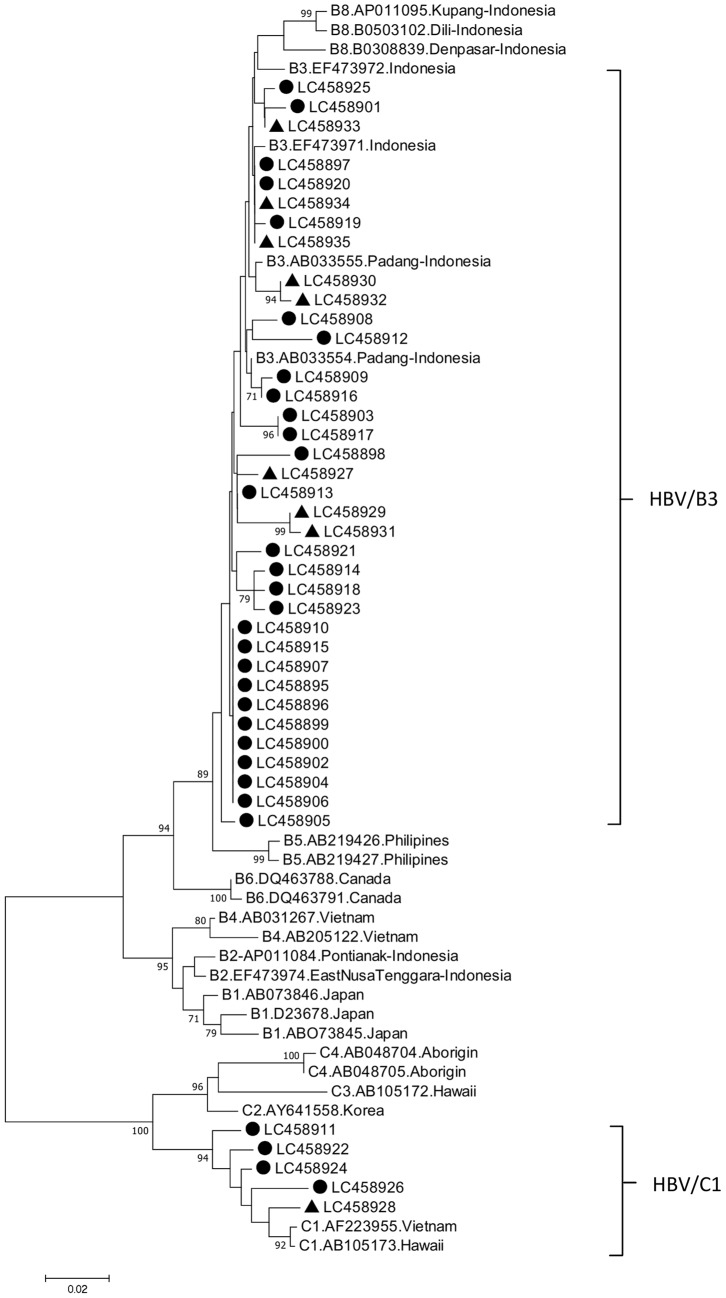 Figure 1.