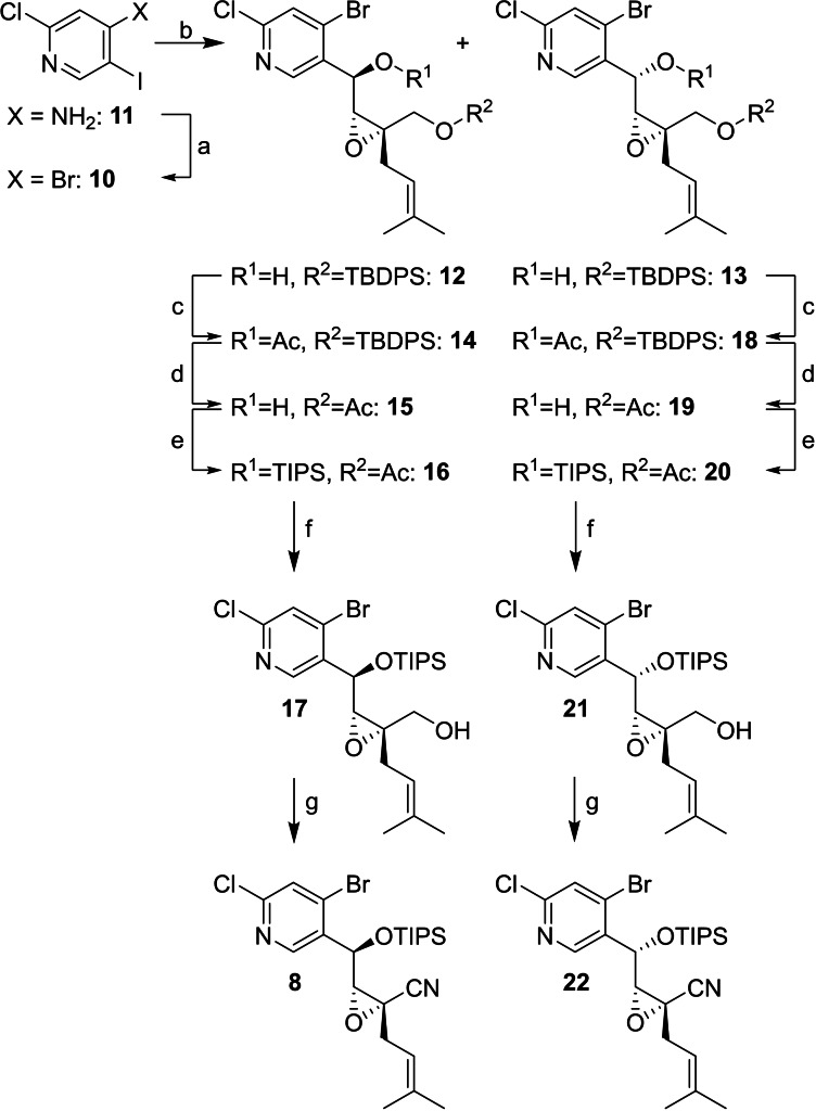 Scheme 2