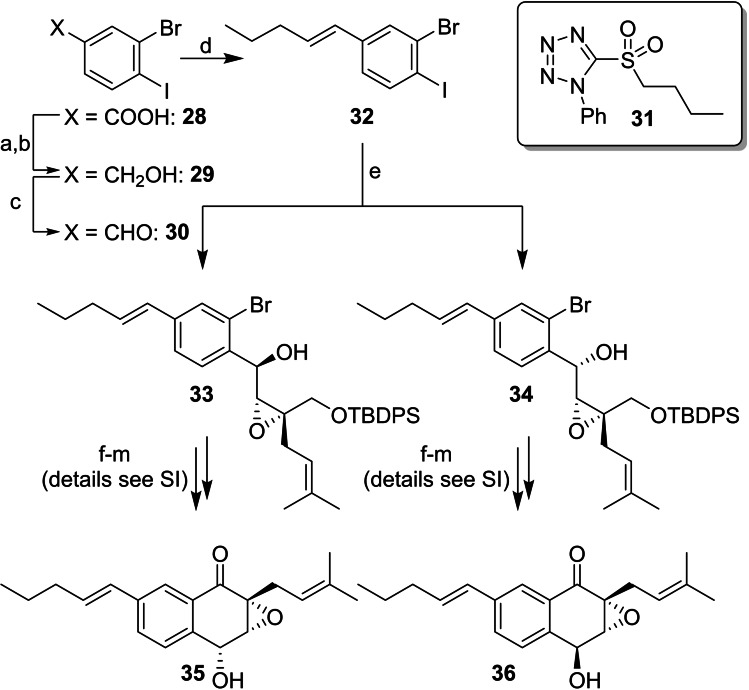 Scheme 4