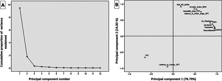 Fig. 10