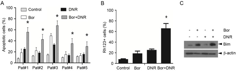 Figure 5.