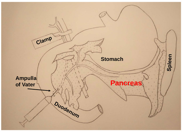 Figure 2: