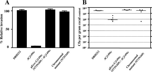 FIG. 7.