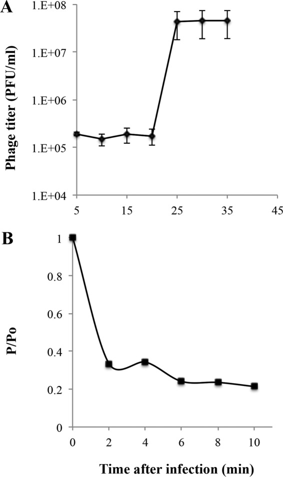 FIG 2