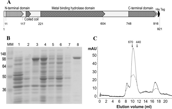 FIG 8