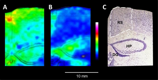 Fig. 3