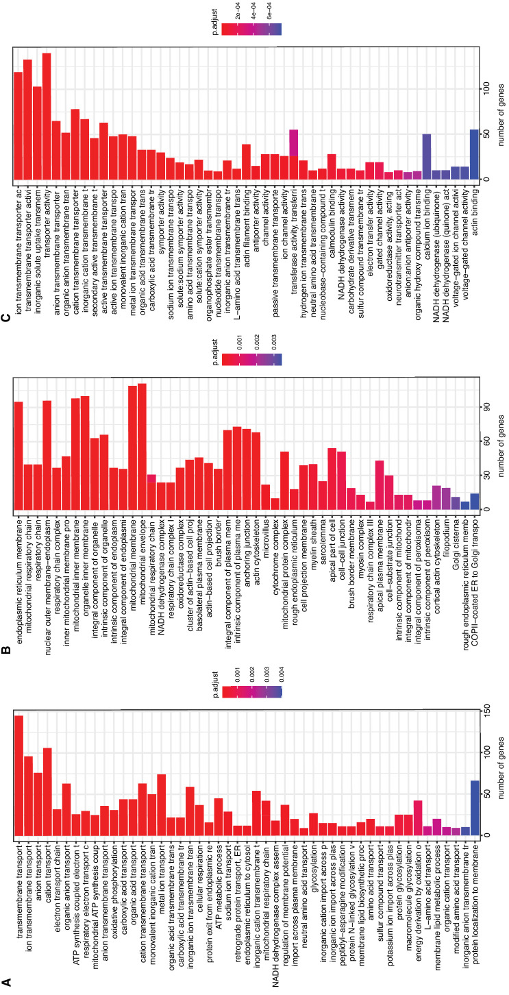 Figure 3—figure supplement 1.