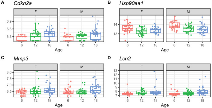 Figure 2—figure supplement 2.