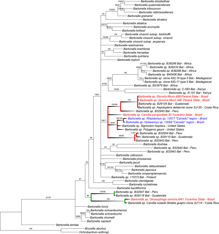 Fig. 2.