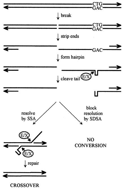 FIG. 5.