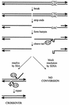 FIG. 5.