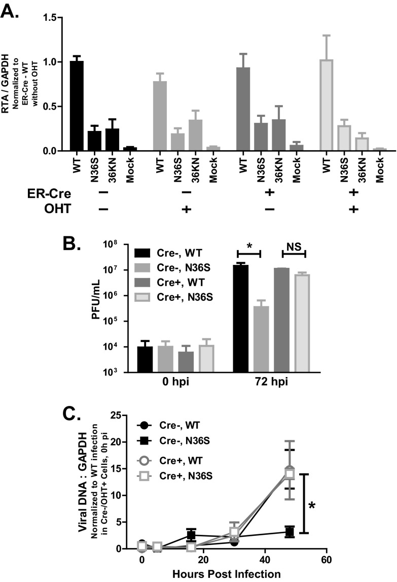 Fig 7