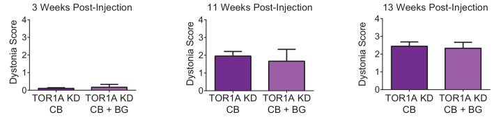 Figure 1—figure supplement 2.