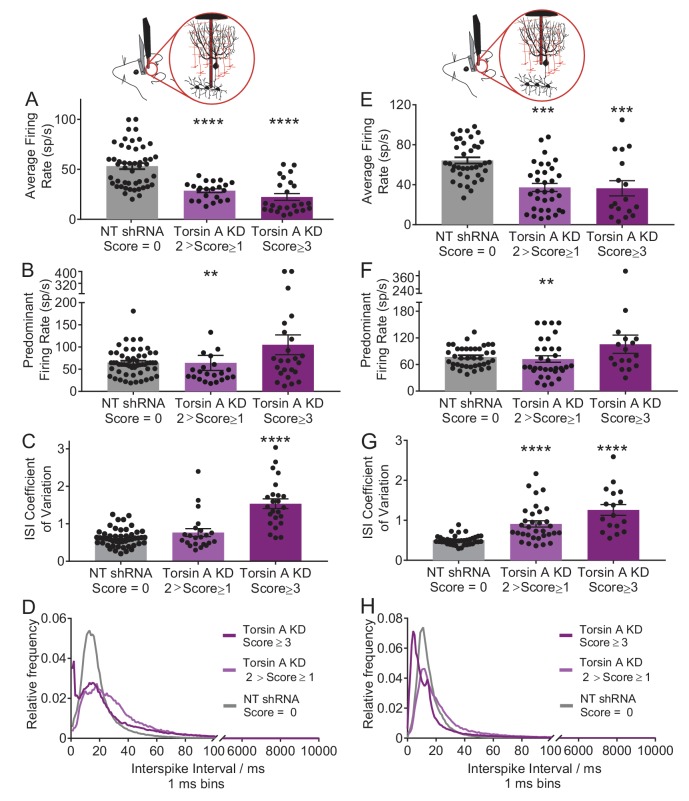 Figure 2—figure supplement 1.