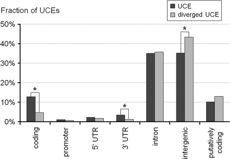 FIG. 2.—