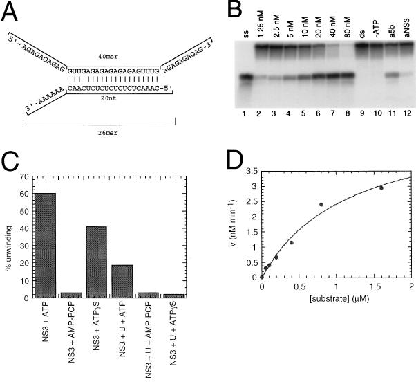 FIG. 7