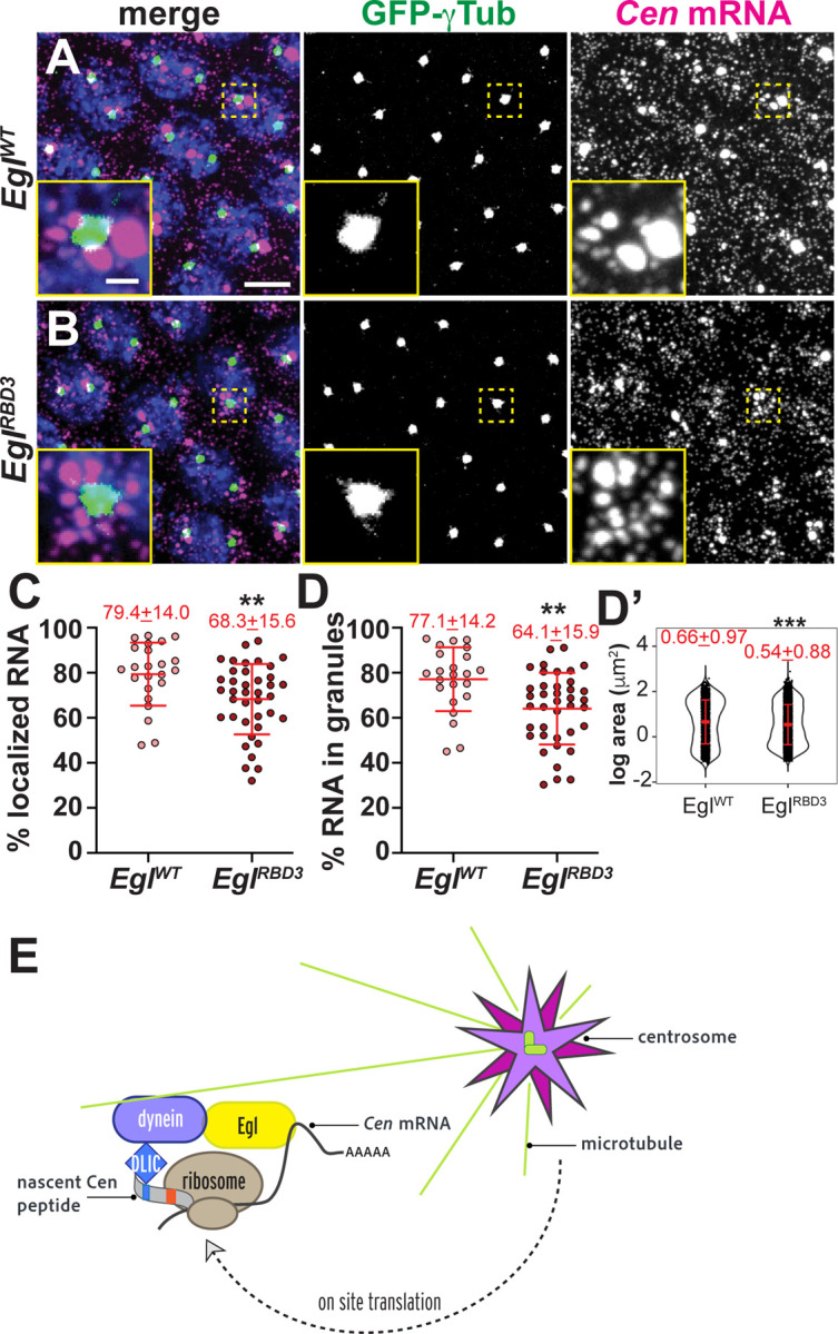 Figure 10.