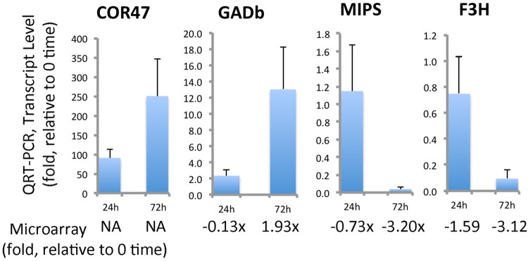 FIGURE 11