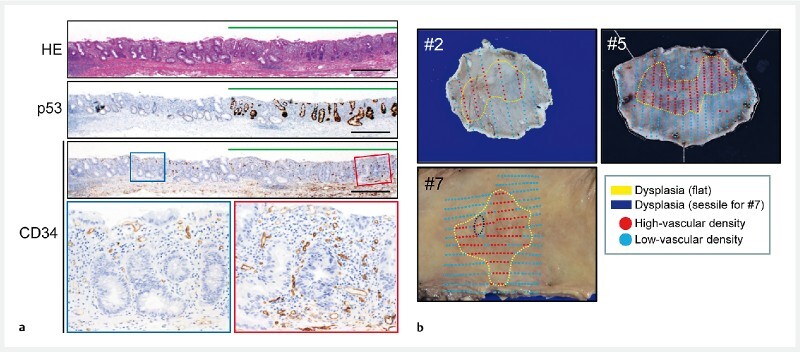 Fig. 2