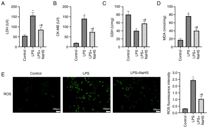 Figure 2.