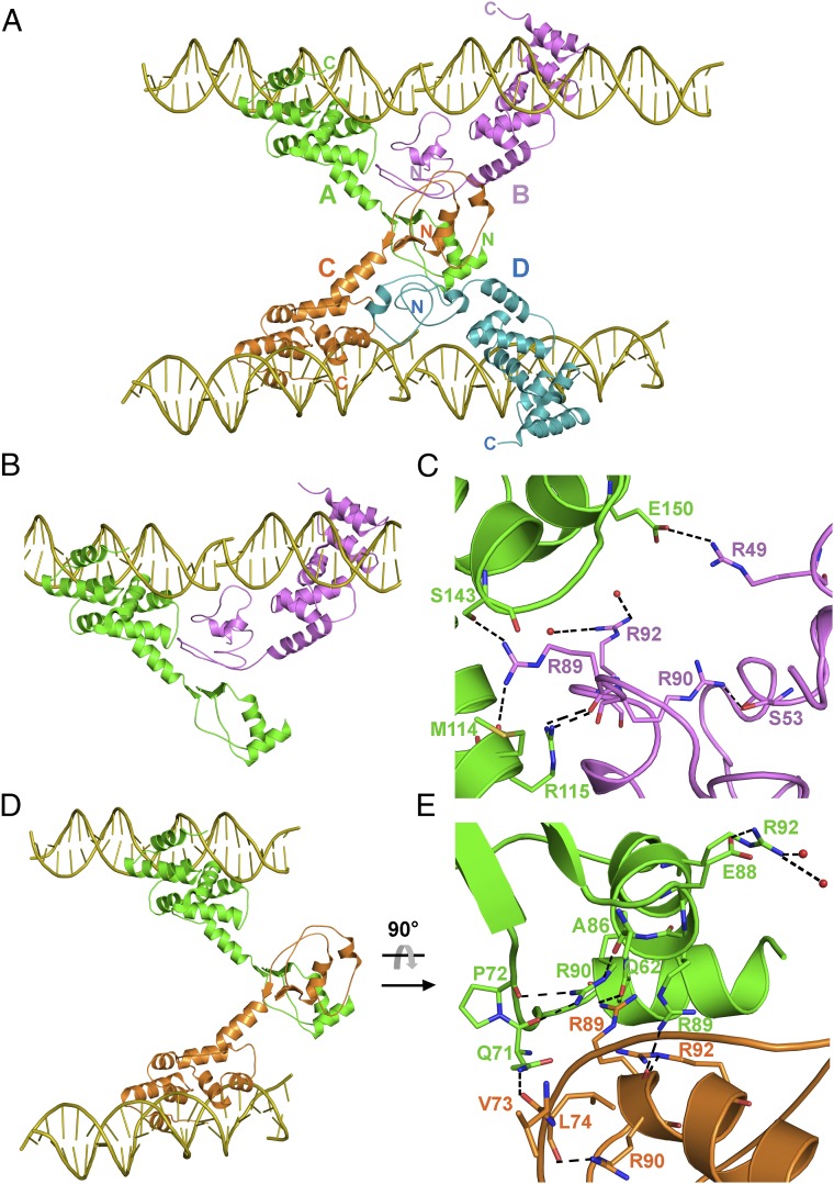 Fig. 3.