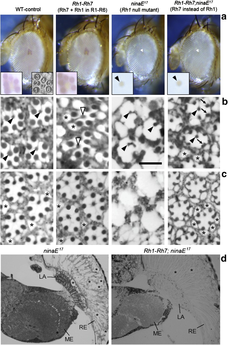 Fig. 3