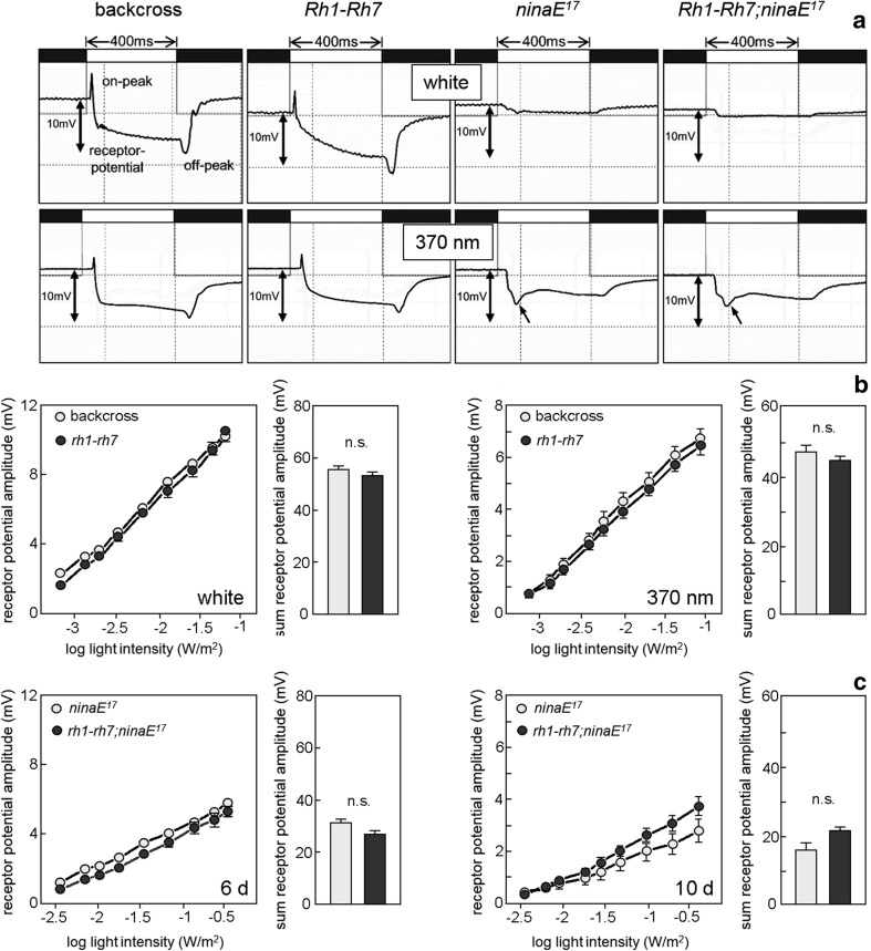 Fig. 4