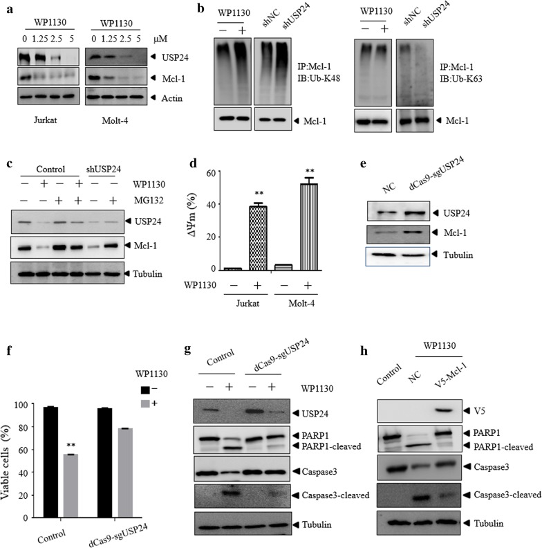 Fig. 6