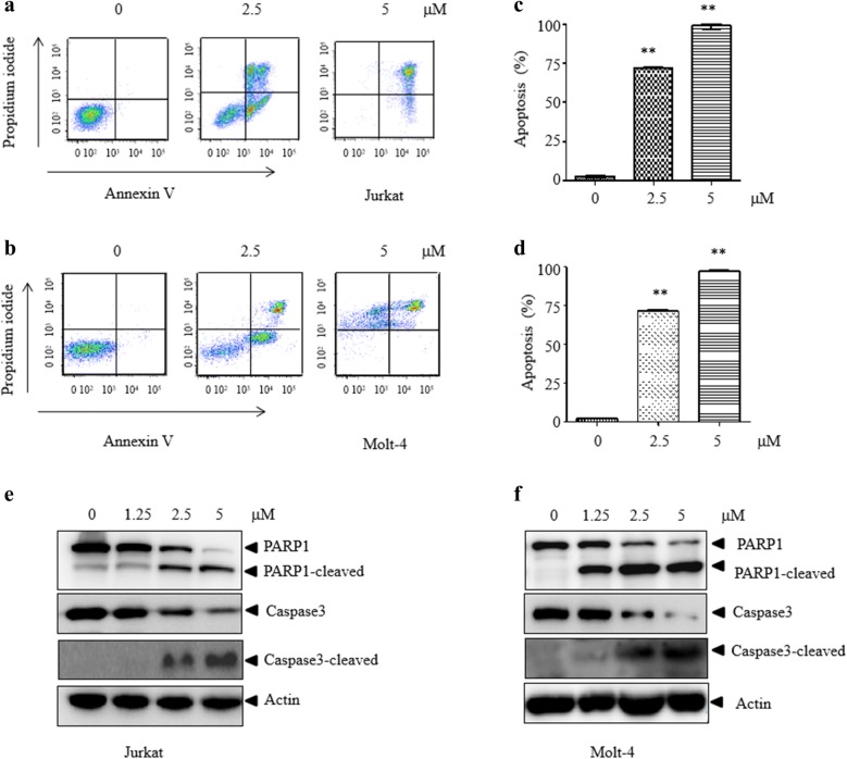 Fig. 2