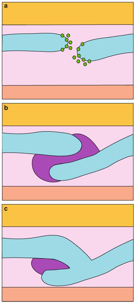 Fig. 5