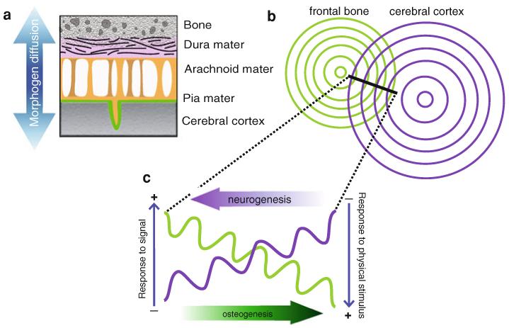Fig. 9